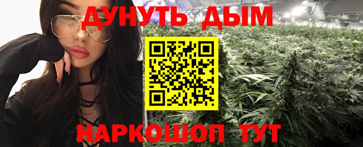 Марихуана план  Конопля SATIVA & INDICA  Конопля гибрид  Бошки марихуана Amnesia  Алексин  Вход с VPN 